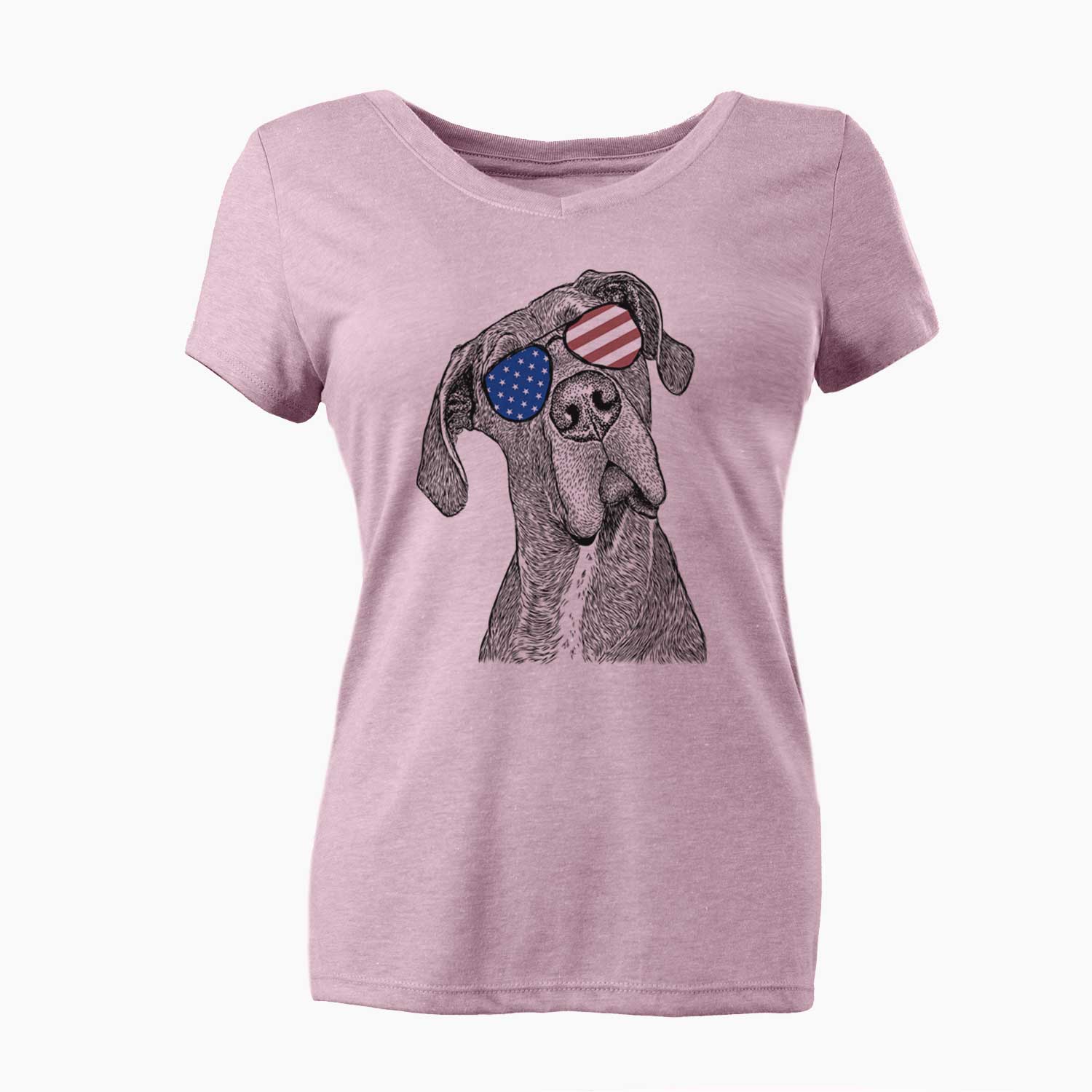 USA River the Great Dane - Women's Perfect V-neck Shirt