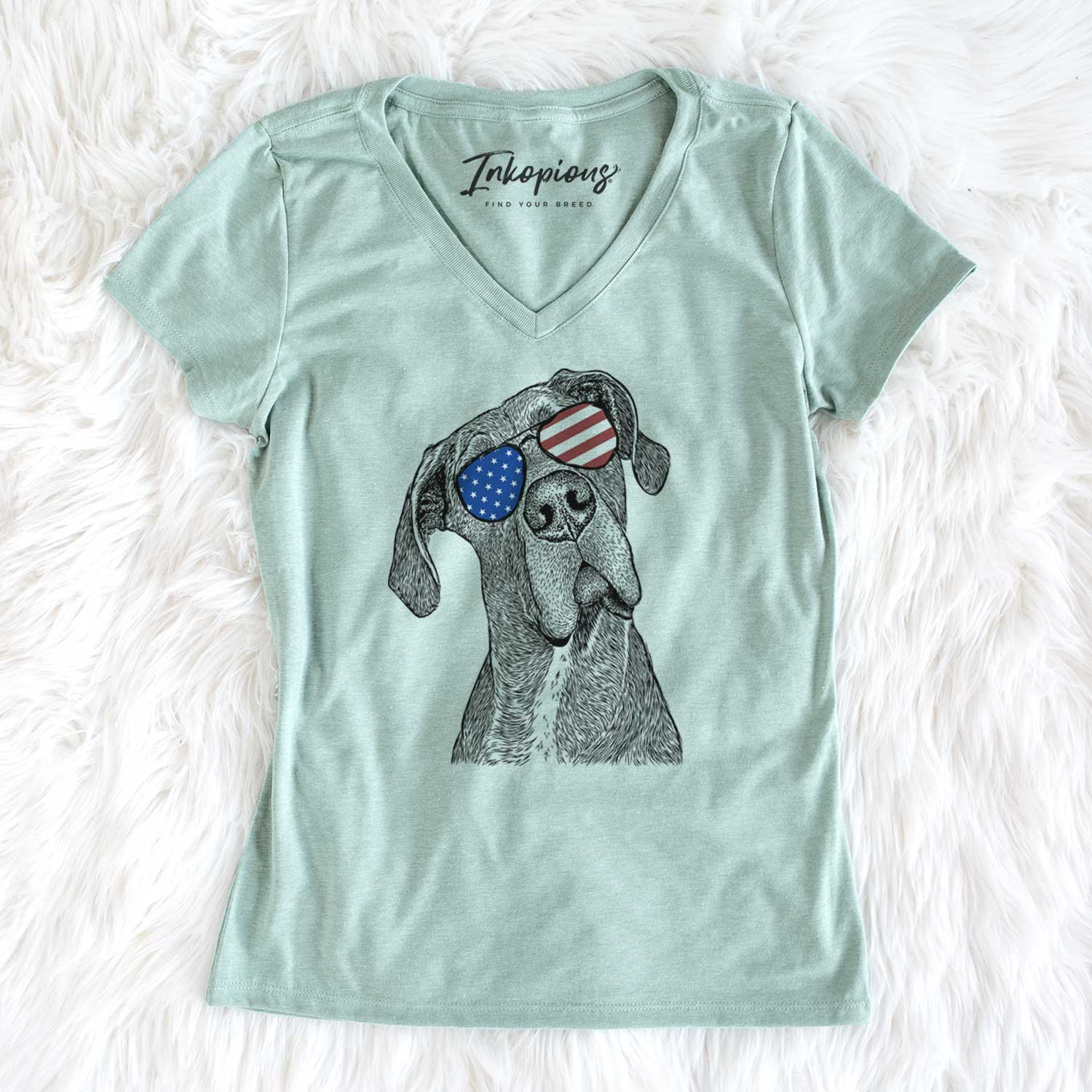USA River the Great Dane - Women's Perfect V-neck Shirt