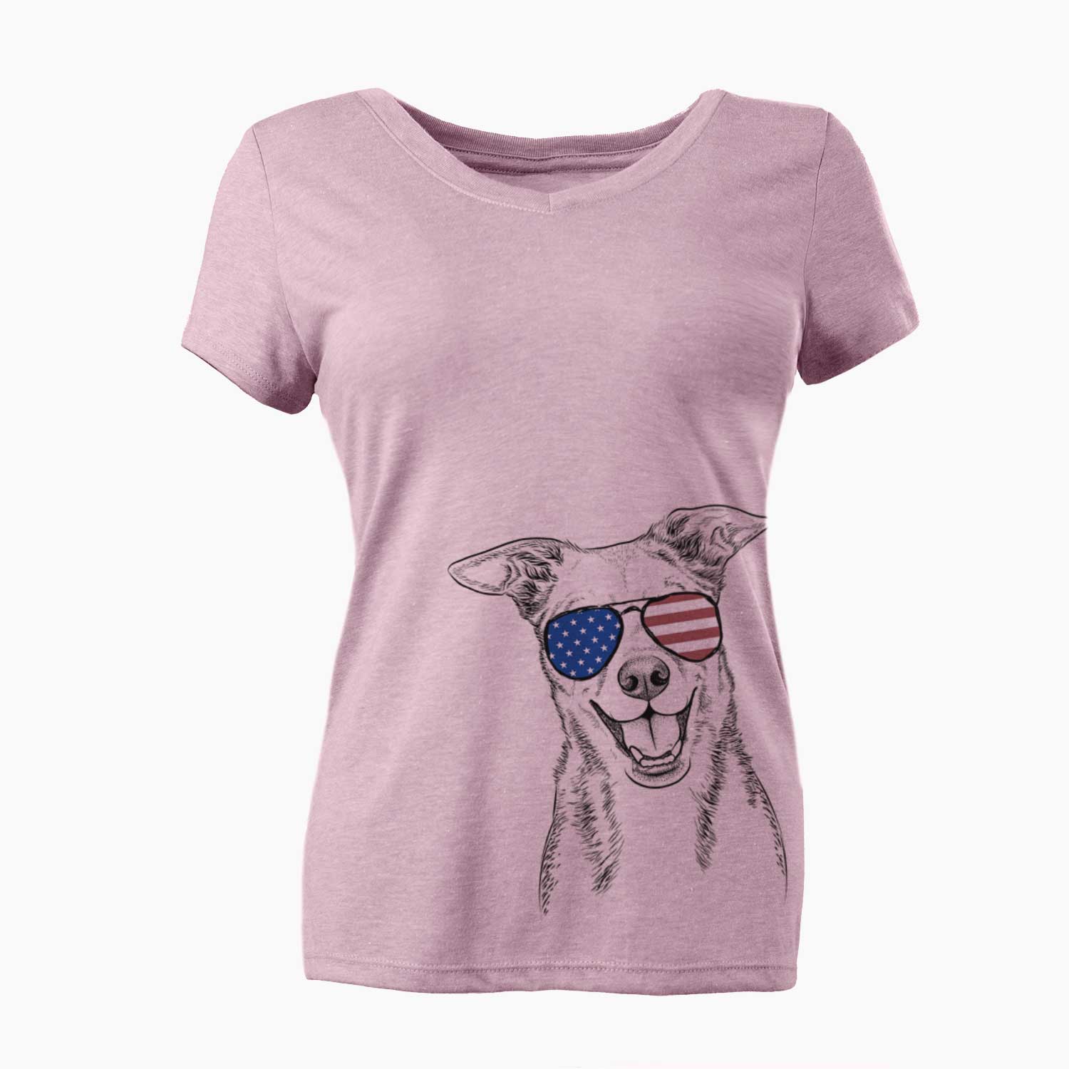 USA Rocco the Mixed Breed - Women's Perfect V-neck Shirt