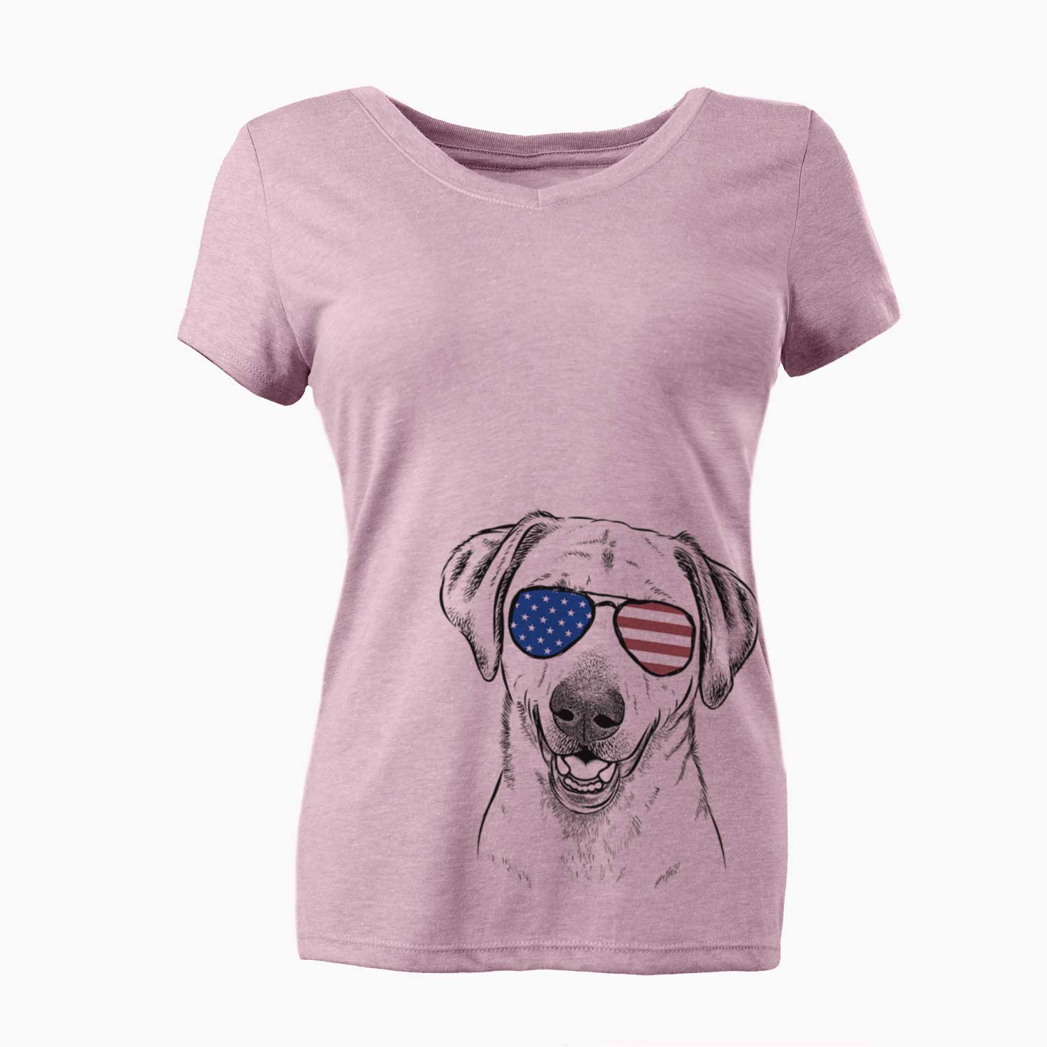 USA Rusty the Labrador Retriever - Women's Perfect V-neck Shirt