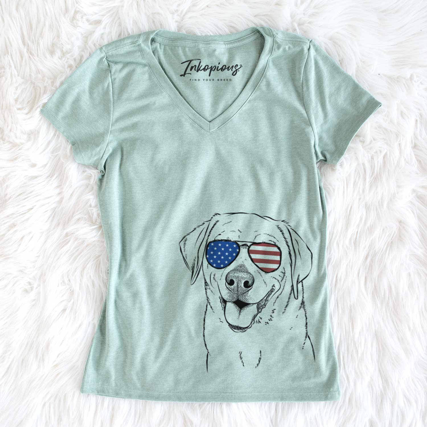 USA Sanford the Labrador Retriever - Women's Perfect V-neck Shirt