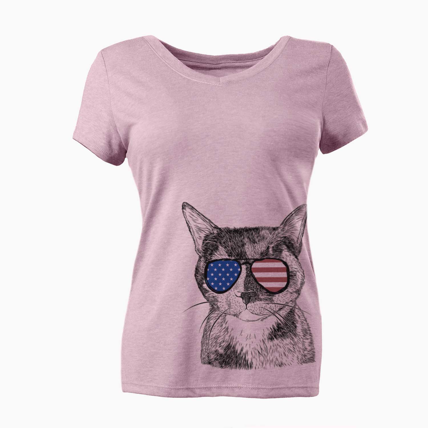 USA Spooky Kitty the Tortoiseshell Cat - Women's Perfect V-neck Shirt