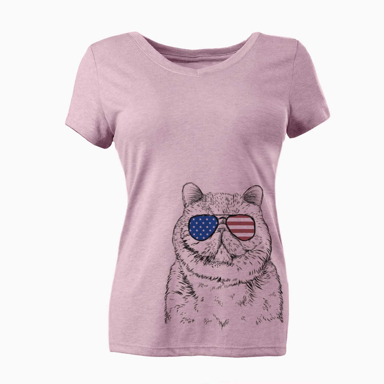 USA Squish the Exotic Shorthair Cat - Women's Perfect V-neck Shirt