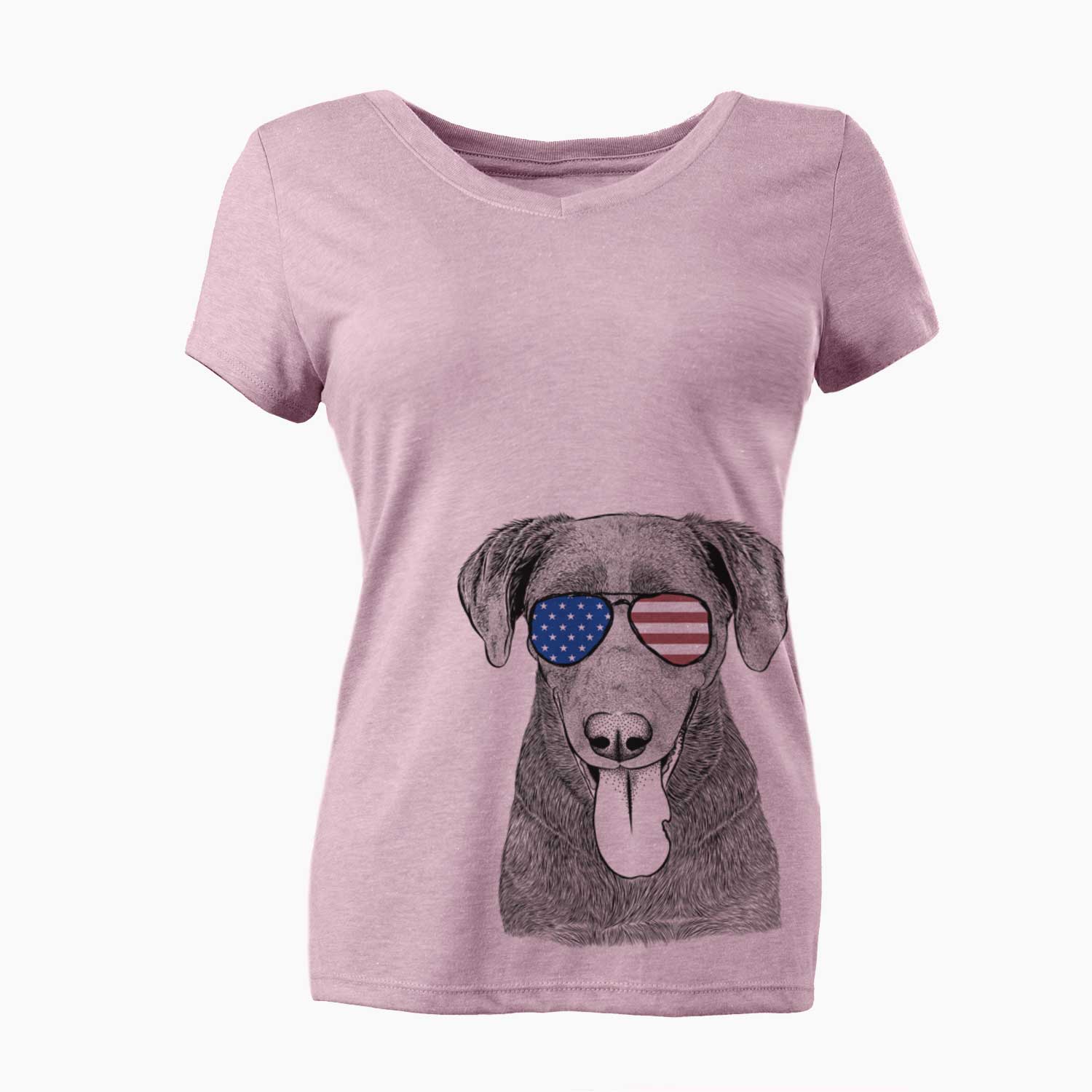 USA Tobes the Chocolate Lab - Women's Perfect V-neck Shirt