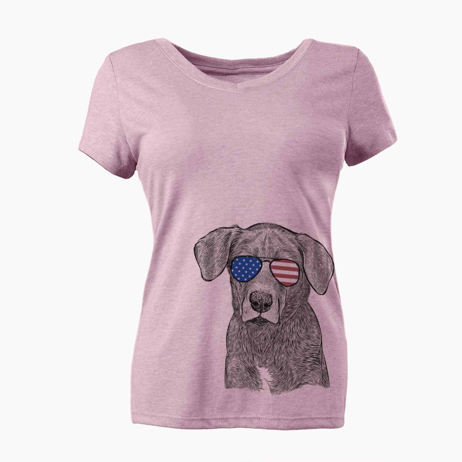 USA Tom the Lab Dane Mix - Women's Perfect V-neck Shirt