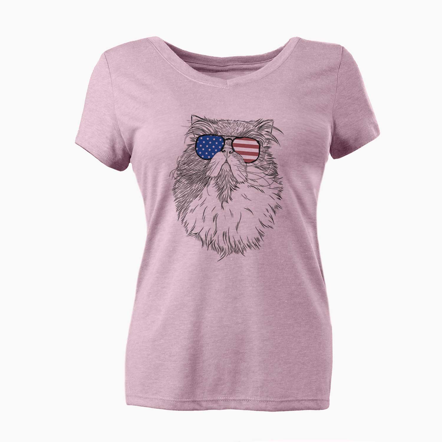 USA Tookie the Perisan Cat - Women's Perfect V-neck Shirt