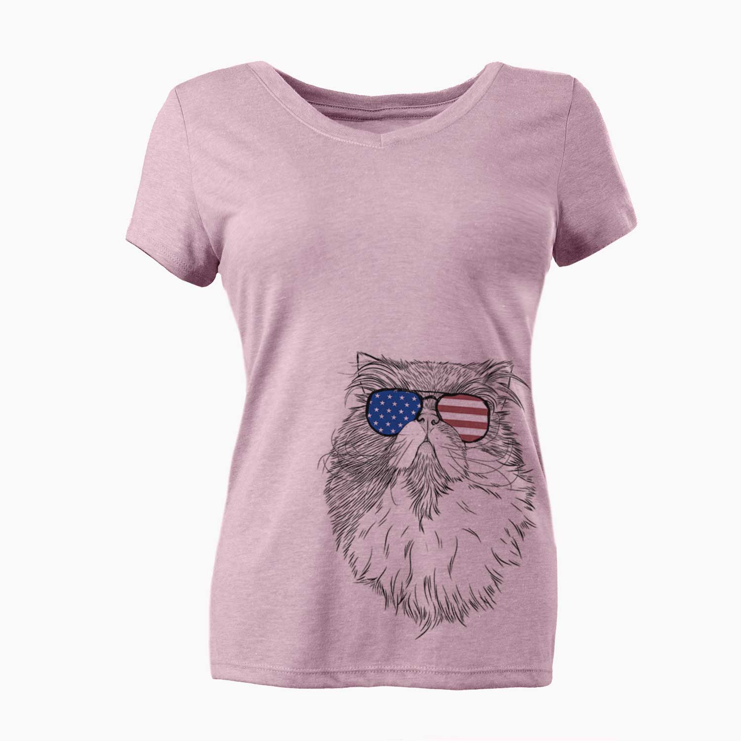 USA Tookie the Perisan Cat - Women's Perfect V-neck Shirt