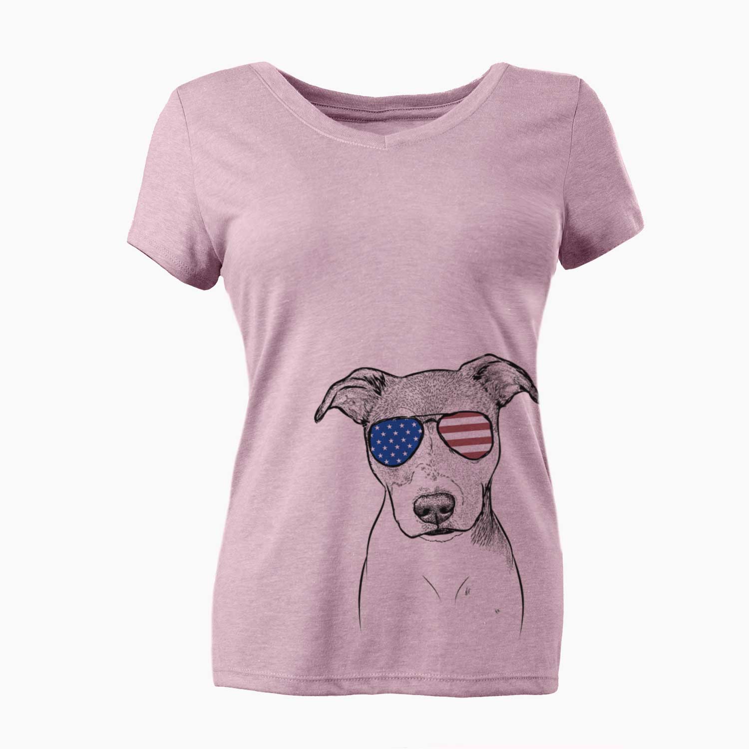 USA Tula the American Staffordshire Terrier Heeler Mix - Women's Perfect V-neck Shirt