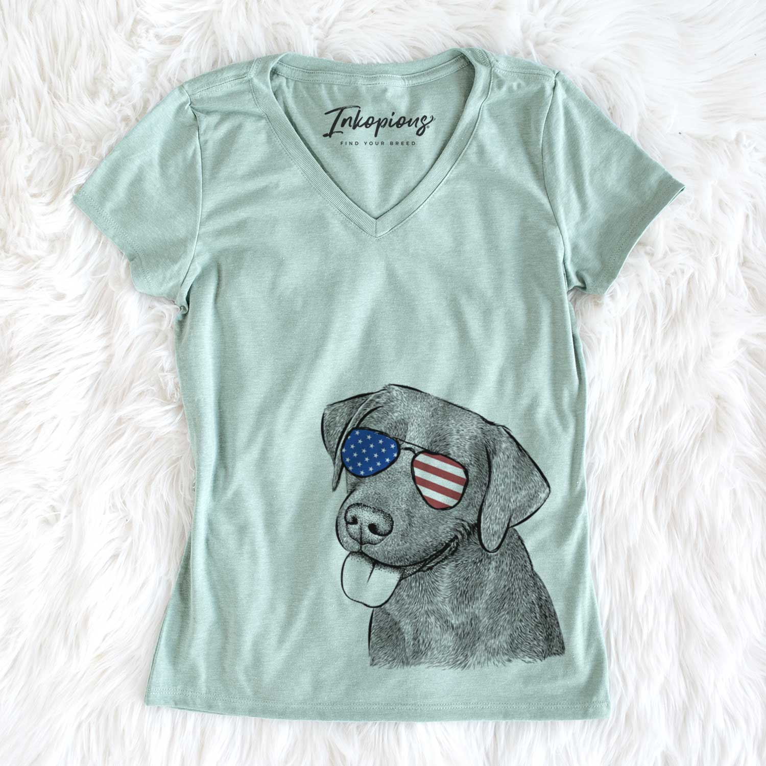 USA Zeppelin the Black Labrador - Women's Perfect V-neck Shirt