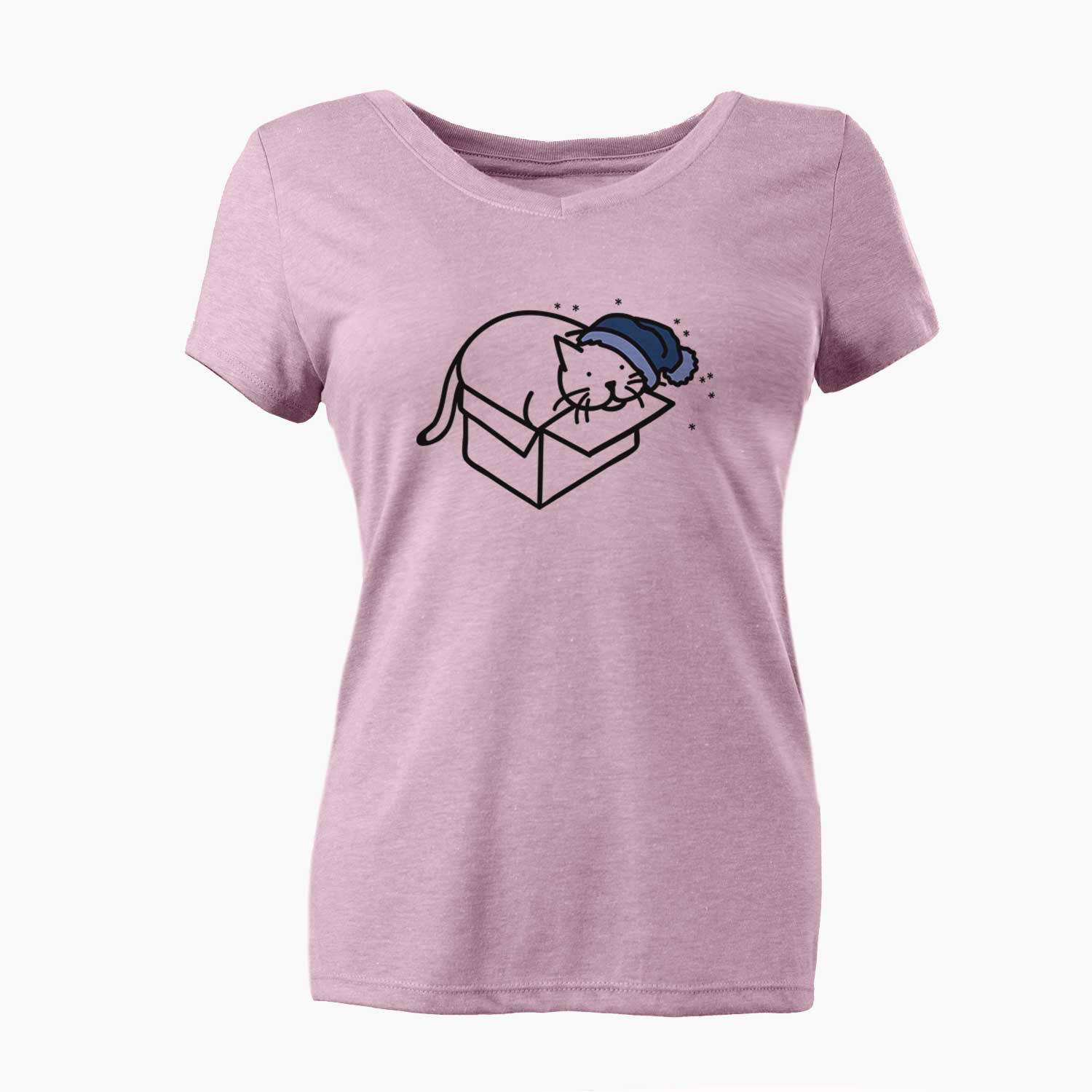 Frosty Cat in a Box - Charlie - Women's V-neck Shirt