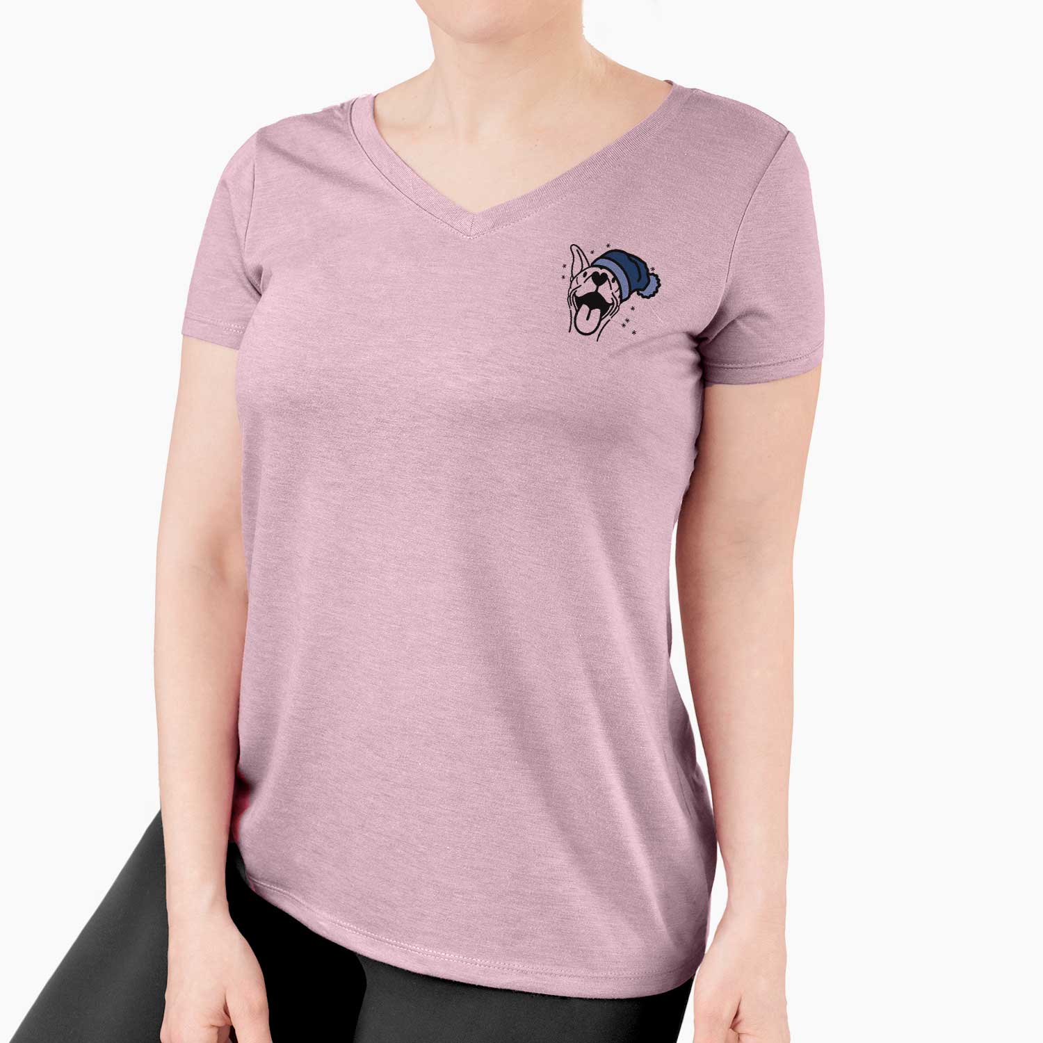 Frosty Basenji - Merlin - Women's V-neck Shirt