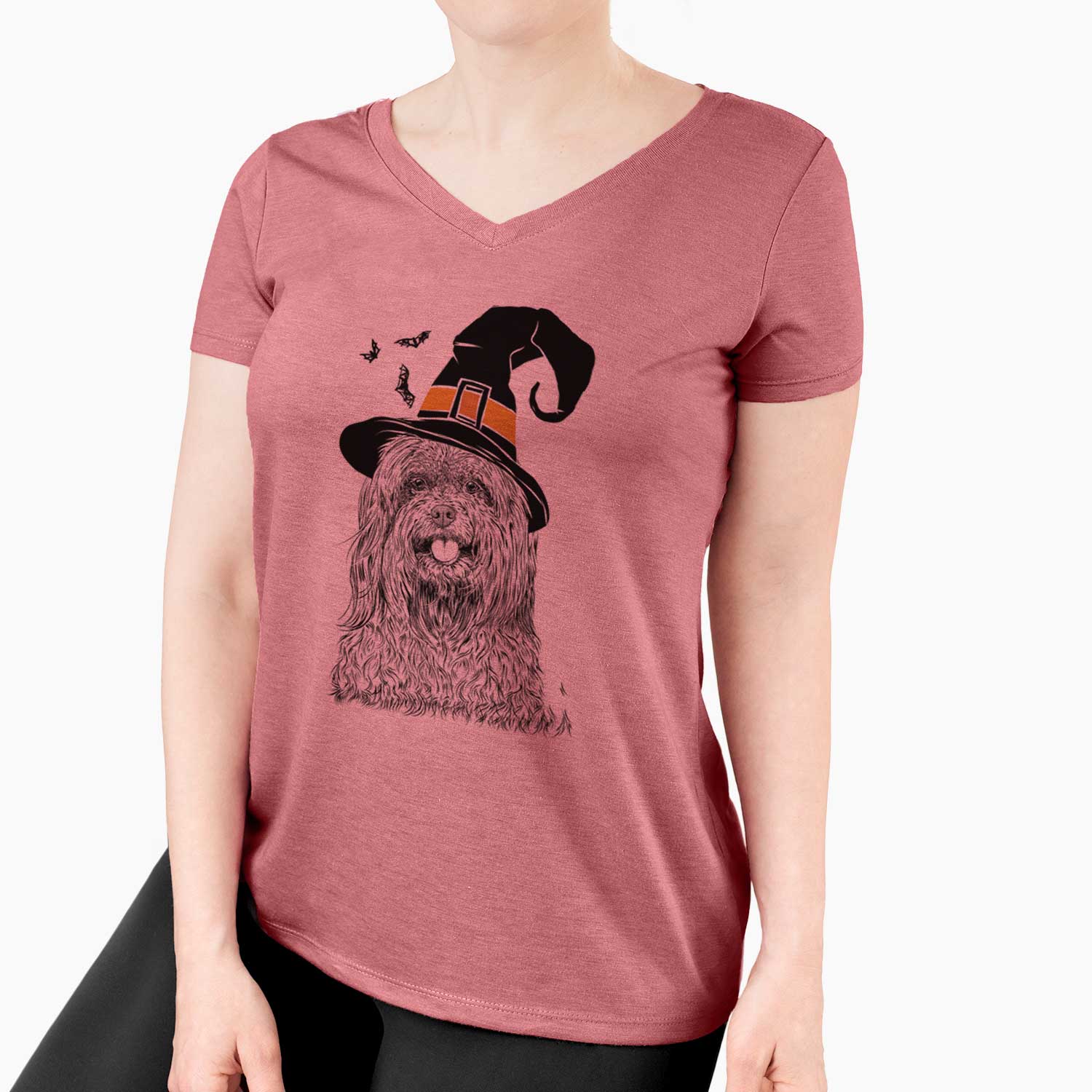 Witch Annie the Mixed Breed - Women's V-neck Shirt