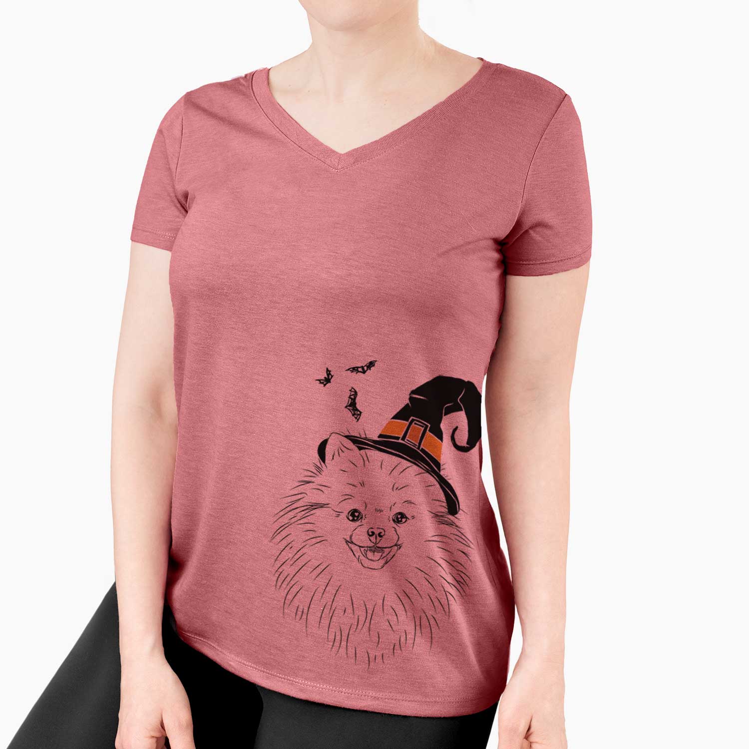 Witch Finn the Pomeranian - Women's V-neck Shirt