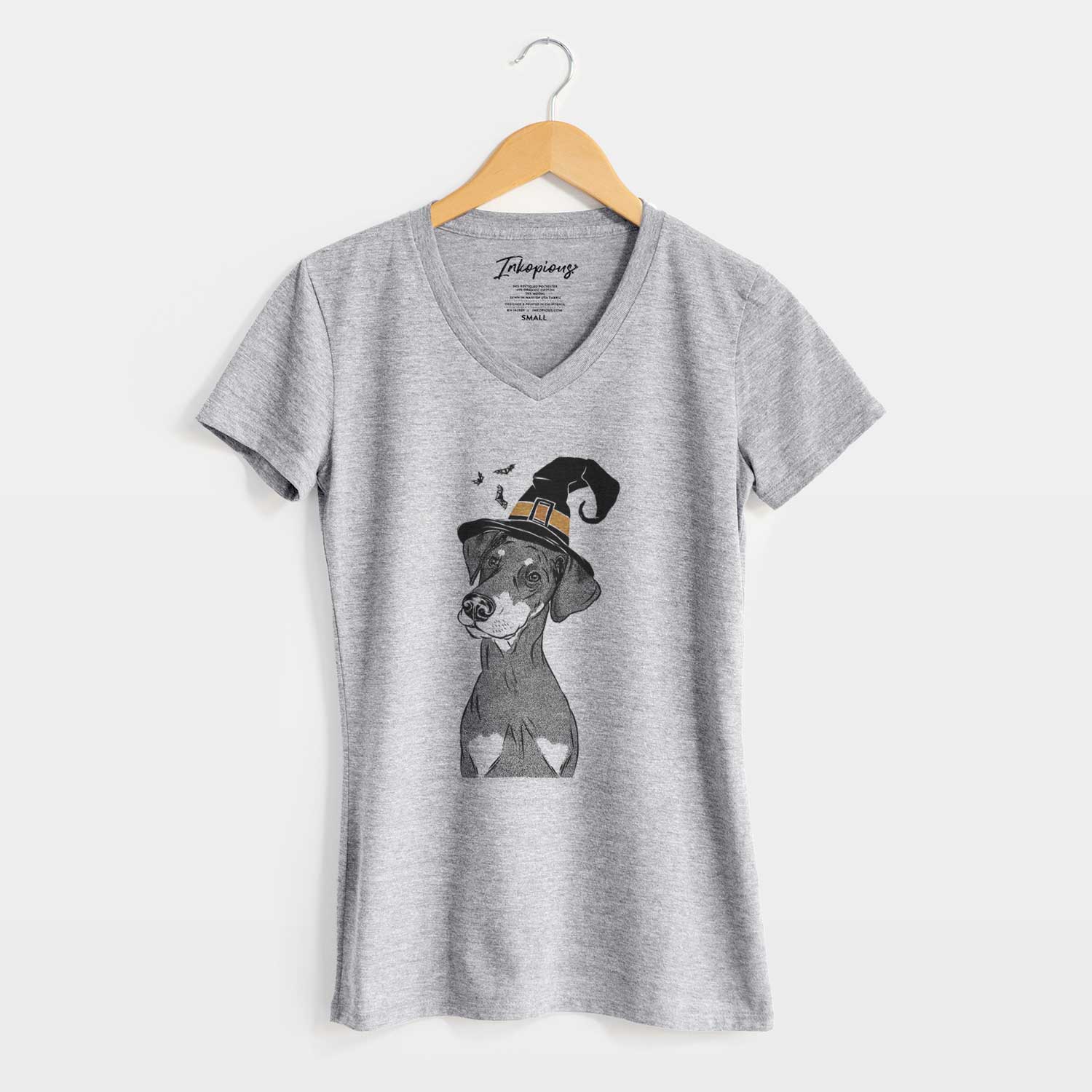 Witch Iroh the Doberman Pinscher - Women's V-neck Shirt