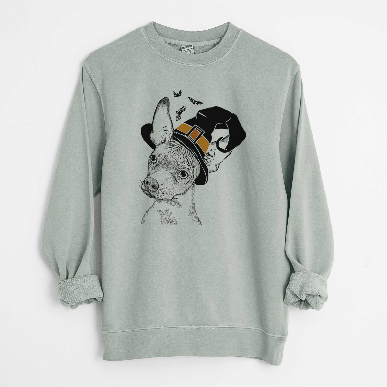 Witch Kahlo the Xoloitzcuintli - Unisex Pigment Dyed Crew Sweatshirt