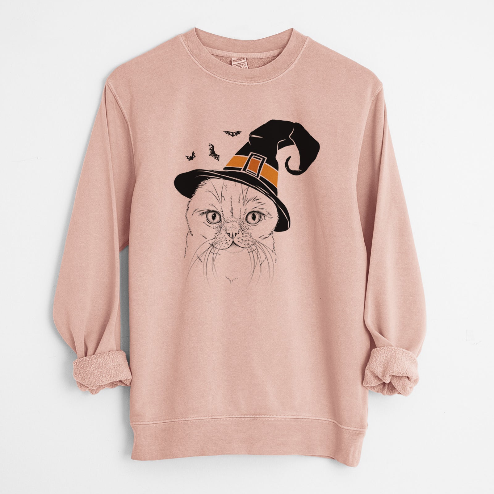 Witch Lina the Exotic Fold Cat - Unisex Pigment Dyed Crew Sweatshirt