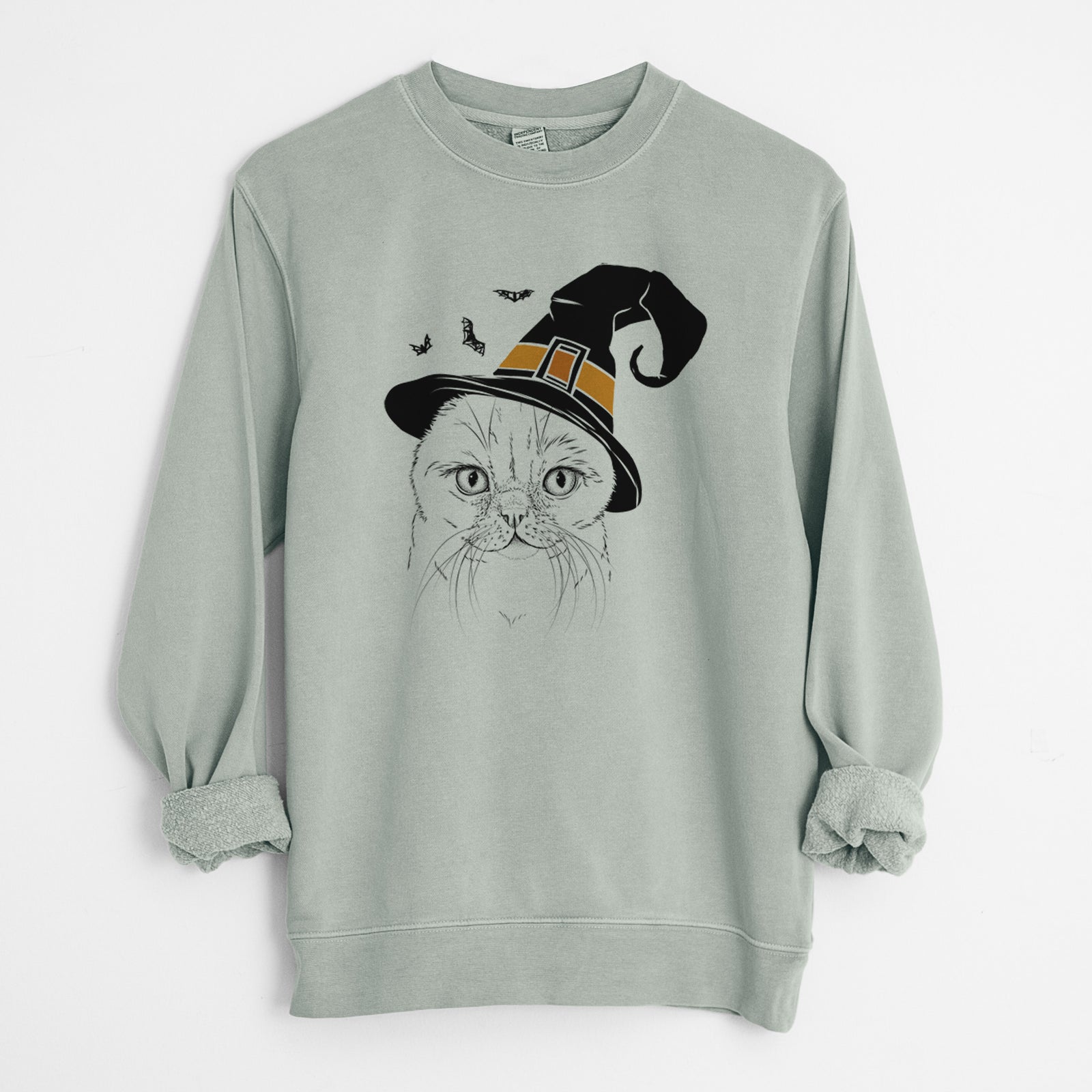 Witch Lina the Exotic Fold Cat - Unisex Pigment Dyed Crew Sweatshirt
