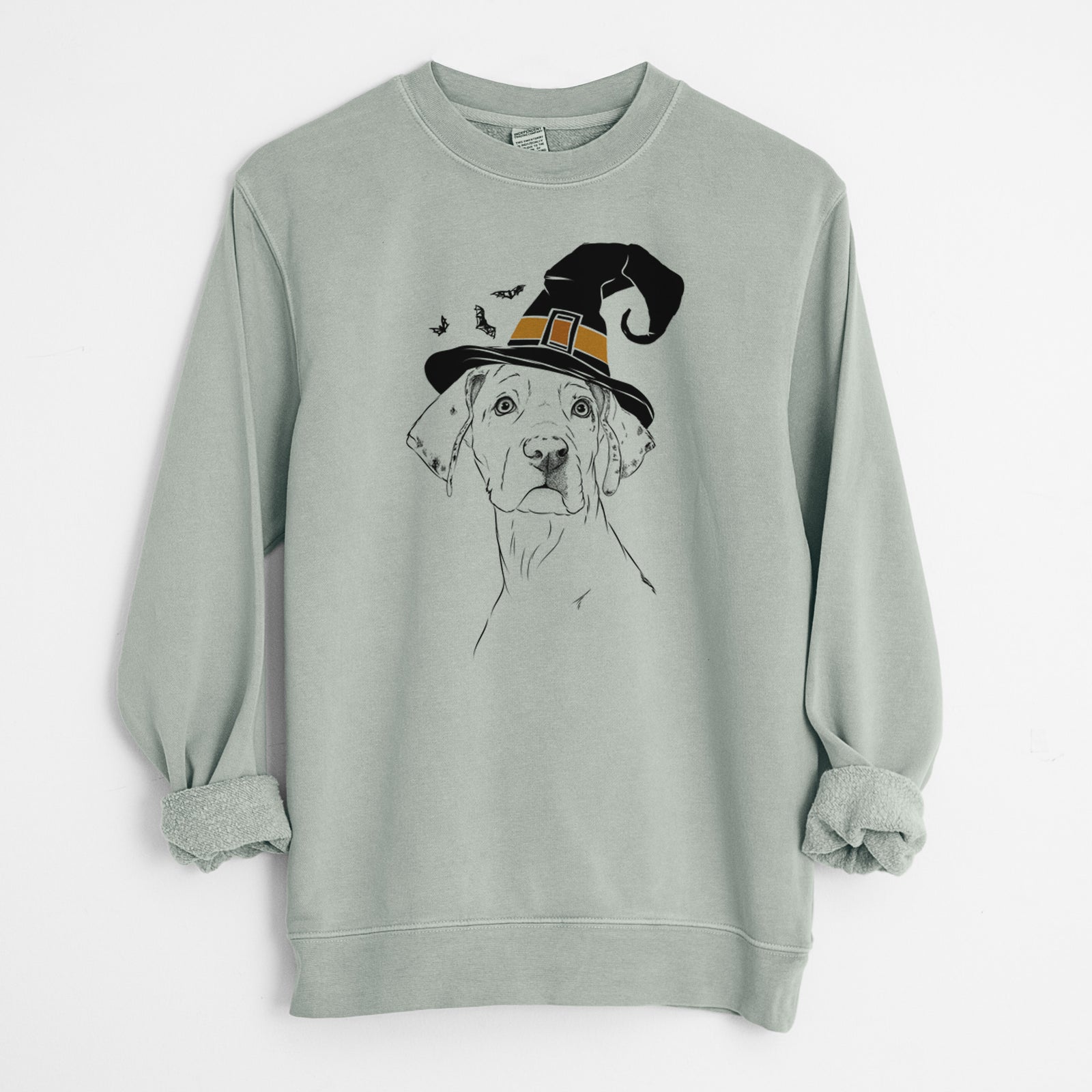 Witch Lumen the Special Needs Great Dane - Unisex Pigment Dyed Crew Sweatshirt