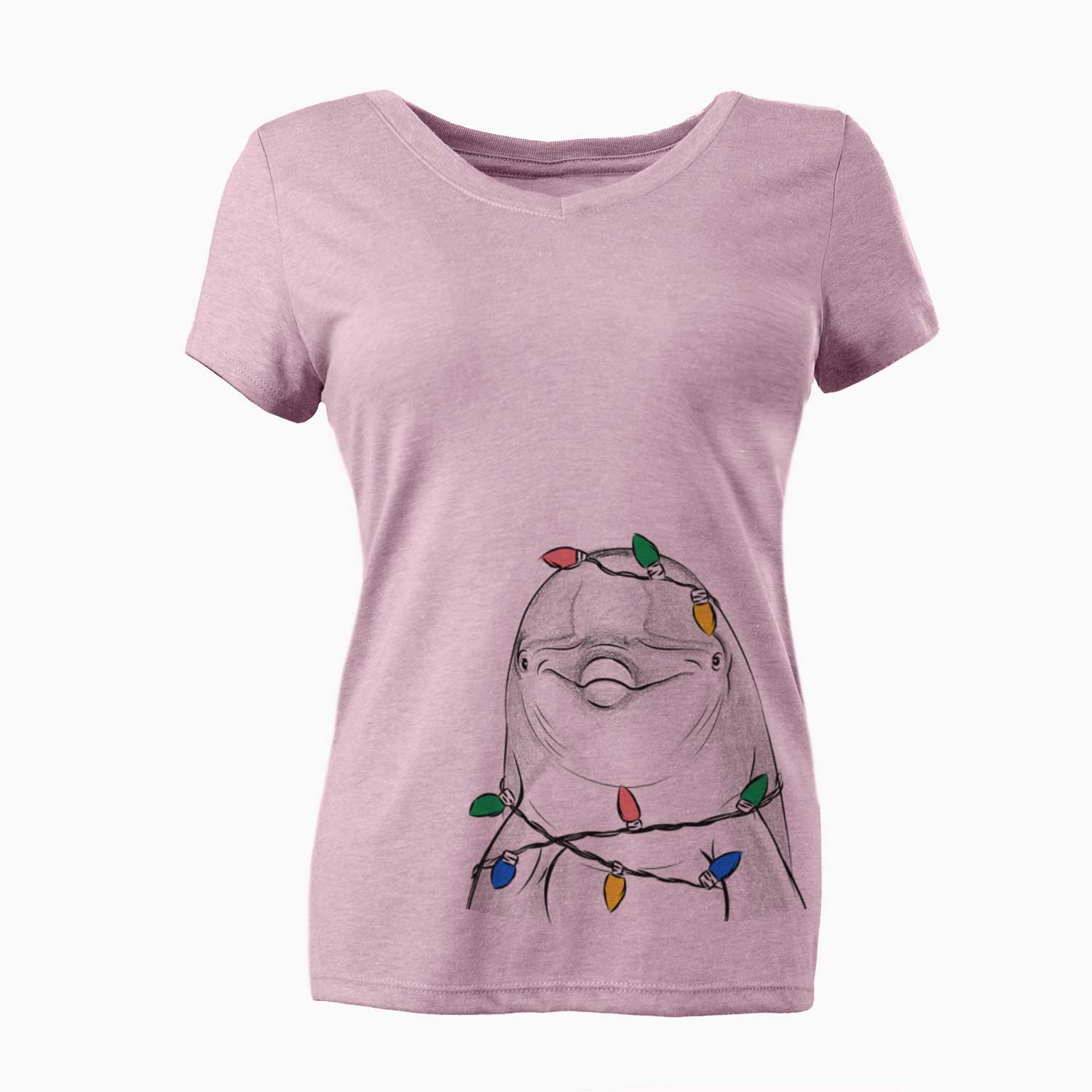 Christmas Lights Dave the Dolphin - Women's V-neck Shirt