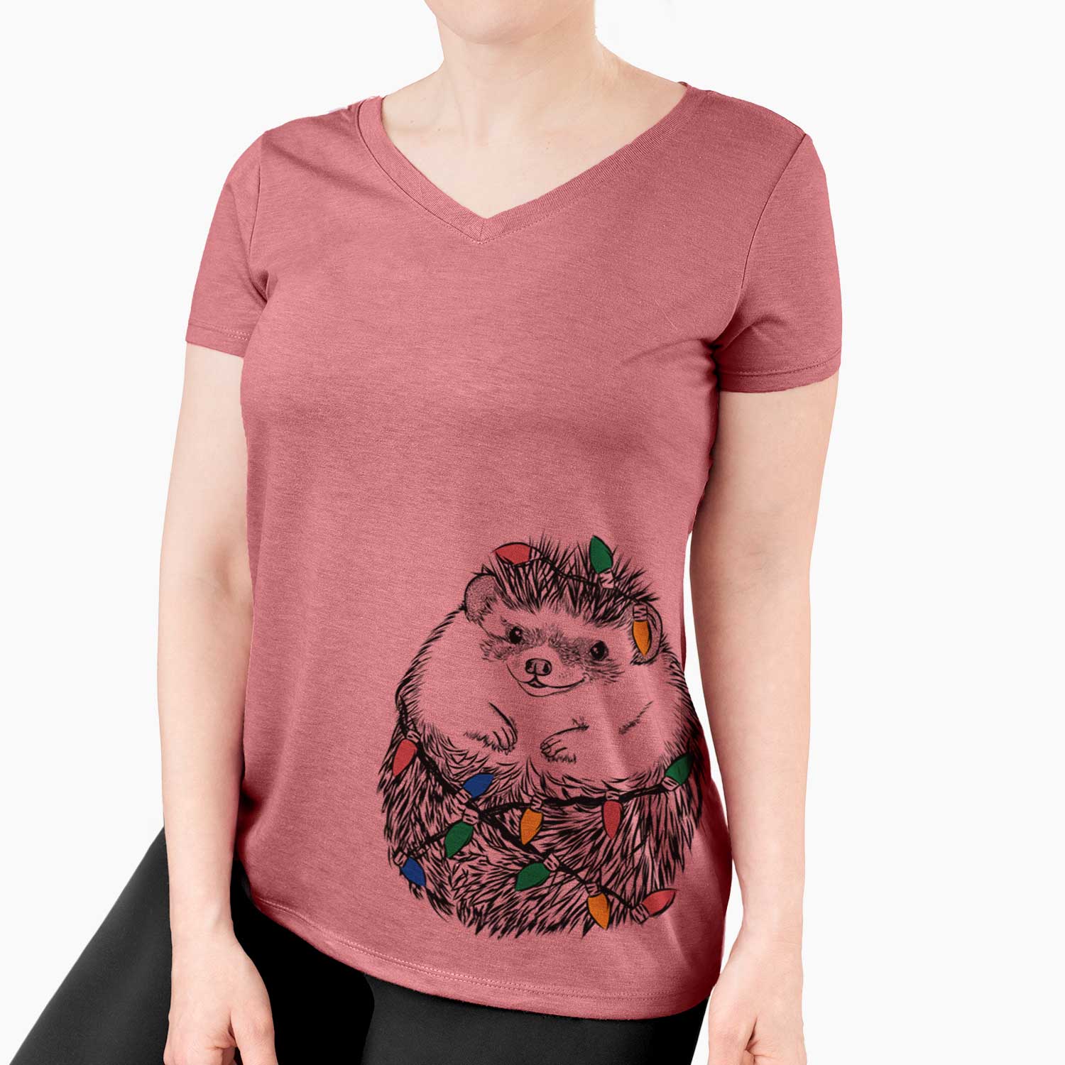 Christmas Lights Sid the Hedgehog - Women's V-neck Shirt