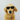 Golden Retriever wearing sunglasses