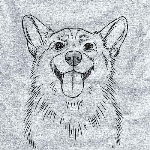 Porter the Pembroke Welsh Corgi