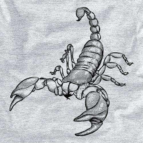 Sting the Scorpion