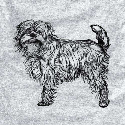 Halftone Affenpinscher