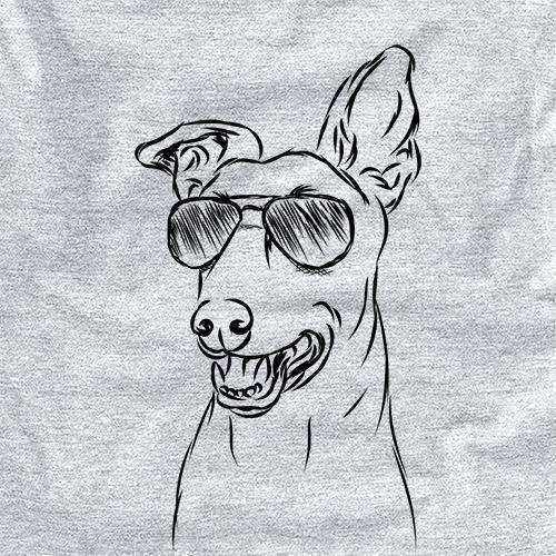 Frosty the Greyhound