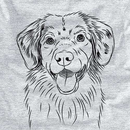 Weston the Nova Scotia Duck Tolling Retriever