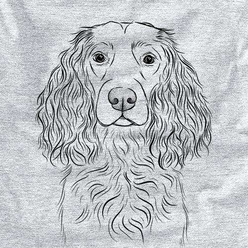 Landry the Boykin Spaniel