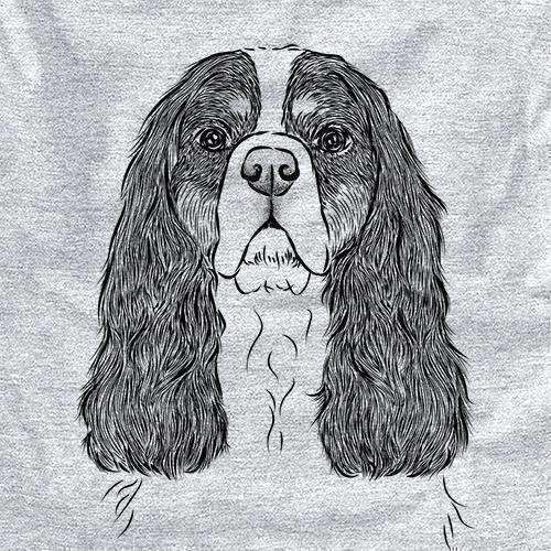 Sebastian the Cavalier King Charles Spaniel