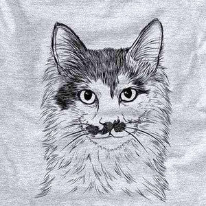 Stache the Longhaired Mustache Cat