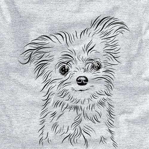 Mr Gucci Poochie the Maltese