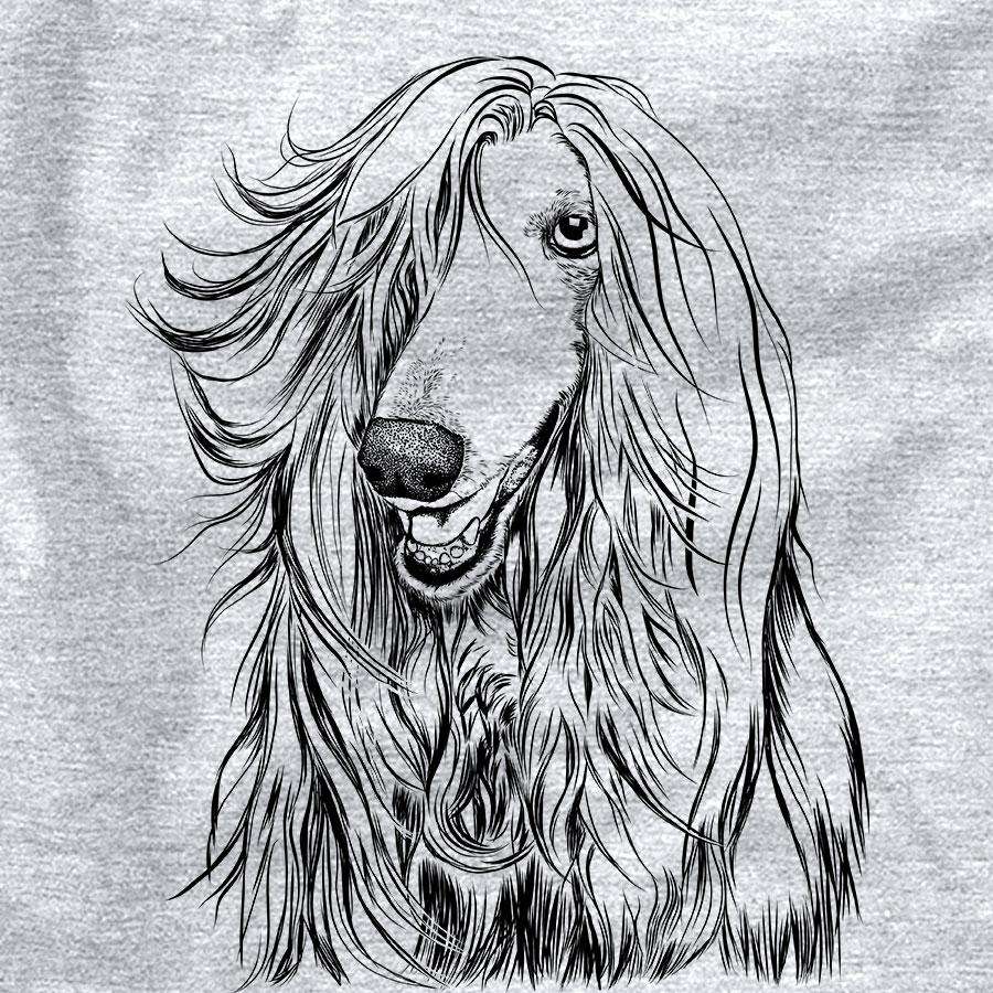 Sterling the Afghan Hound