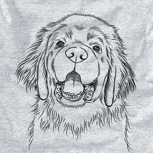 Mozart the Newfoundland