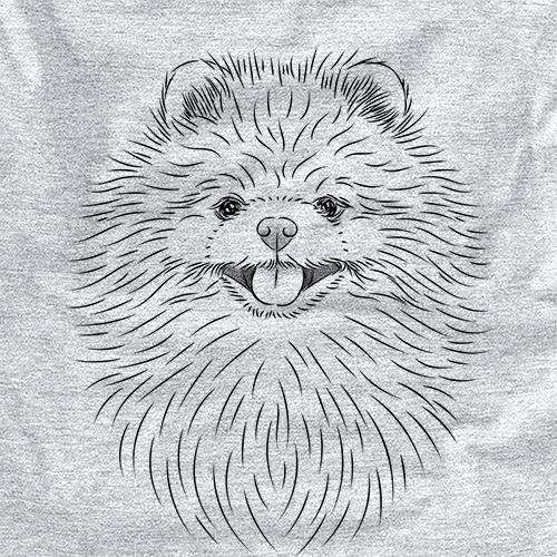 Pirro the Pomeranian