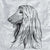 Profile Afghan Hound