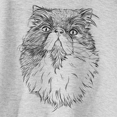 Tookie the Persian Cat