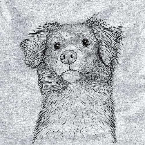 Vixen the Nova Scotia Duck Tolling Retriever