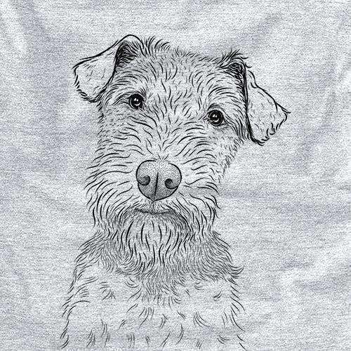 Welsh Terrier