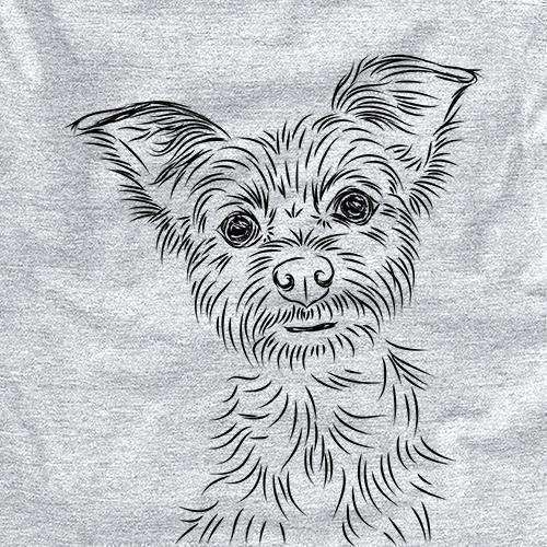 Bingo the Yorkshire Terrier