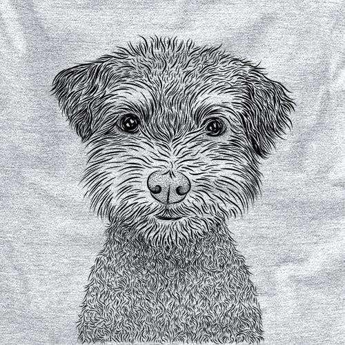 Pretzel the Schnoodle