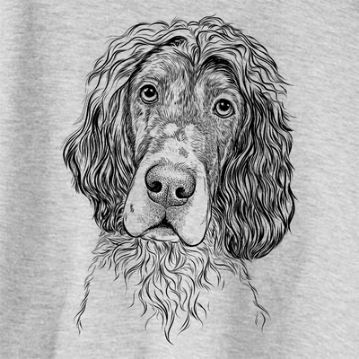 Sir Rexford the Blue Belton English Setter
