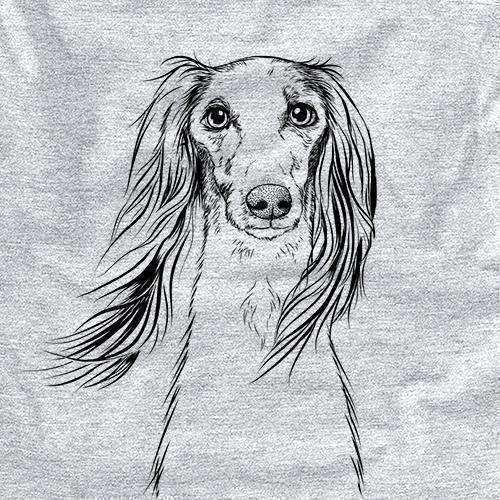 Zahra the Saluki