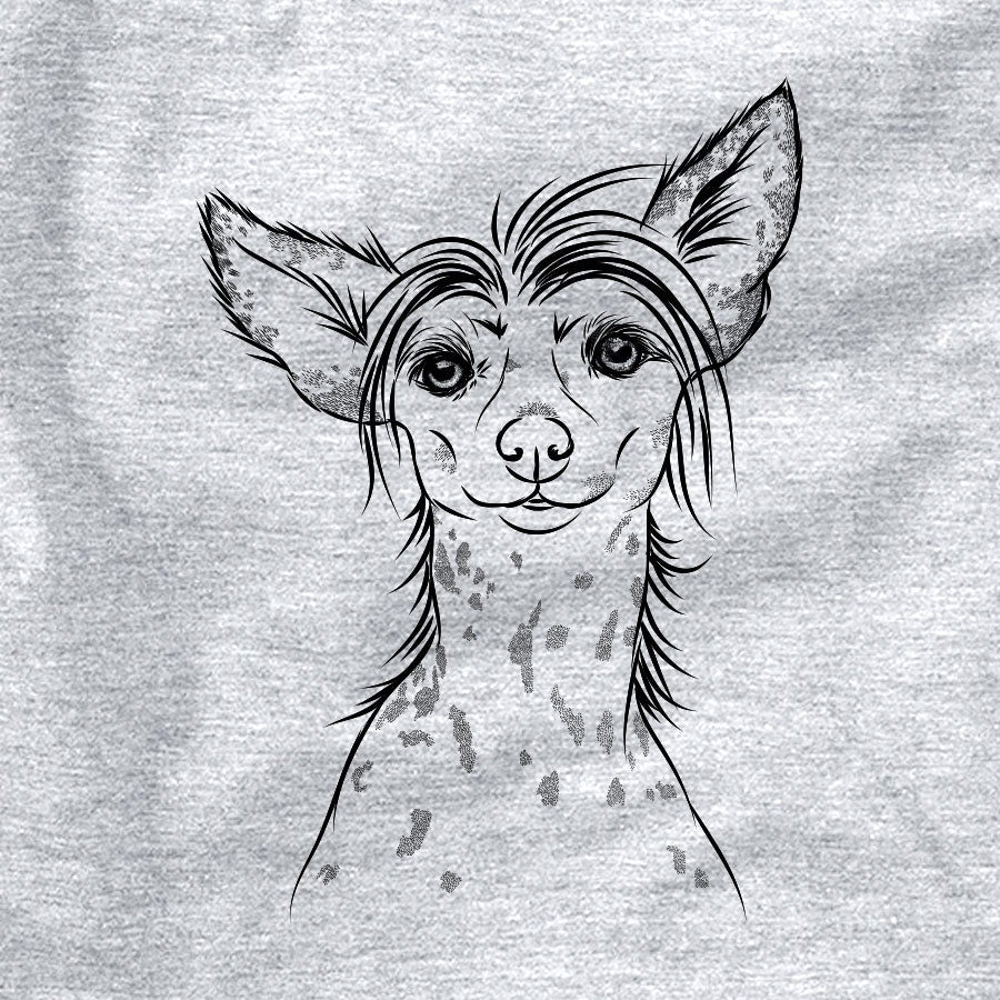 Hudson the Chinese Crested