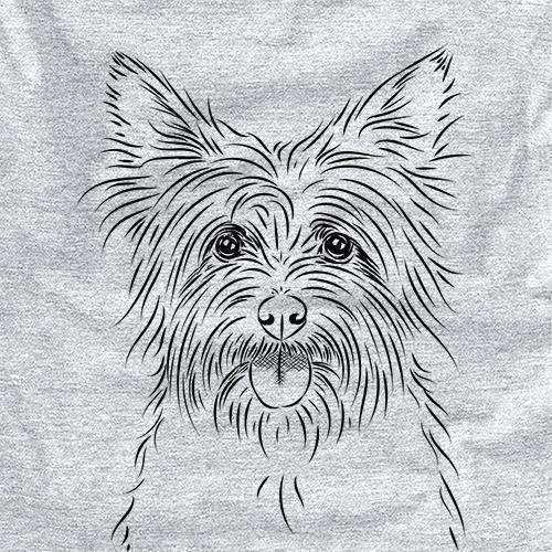 Calum the Cairn Terrier