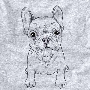 Puppy Pierre the French Bulldog