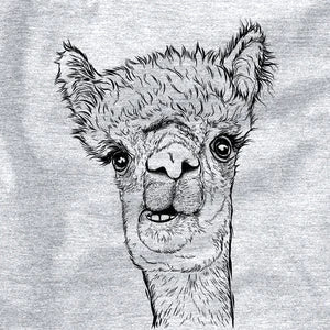 Alpaca
