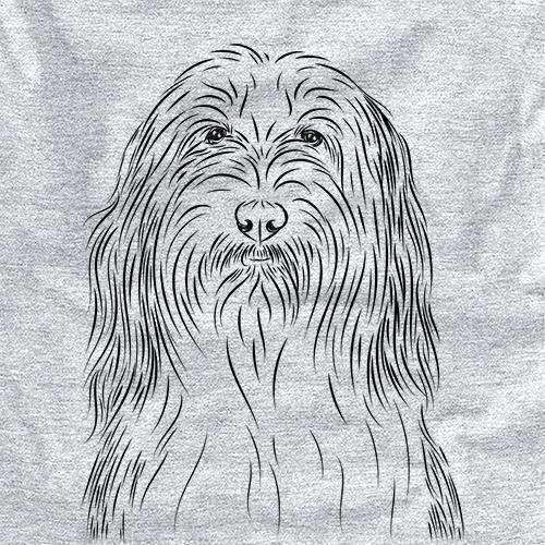 Murray the Bearded Collie